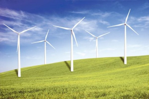Specialiştii în energie, ţinta head-hunterilor